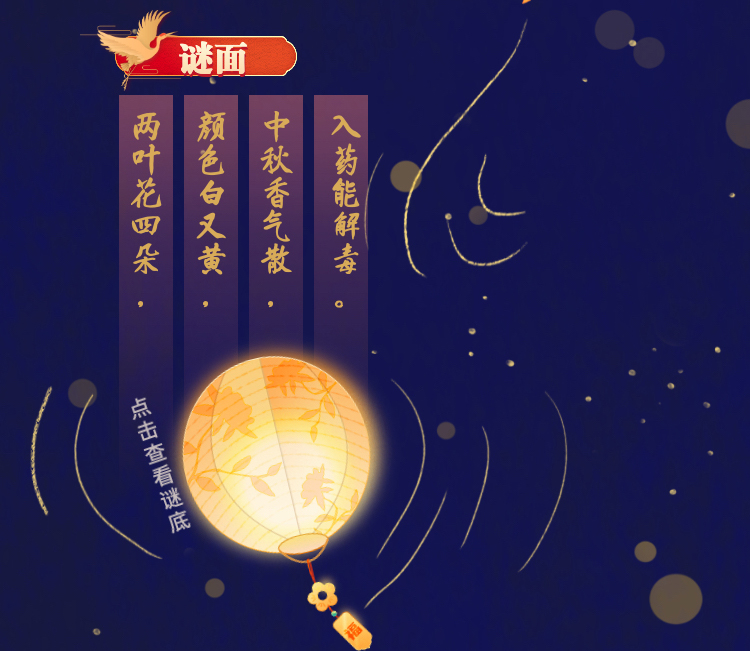 交互长图｜庆元宵猜灯谜 中药材知识大比拼！